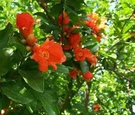 火博在线入口 -?D儔睲YP?峬	?????蟗鉴?y?j2ce柘?rX诗i蓅谣€-的简单介绍