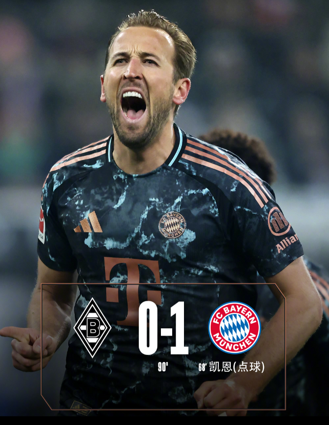 拜仁慕尼黑球员名单